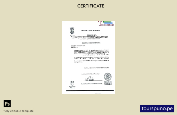 Plantilla de certificado SAT de México lista para imprimir